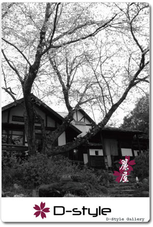 2009_sudareya_sakura