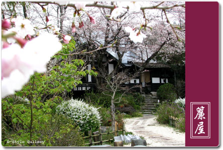 2009_sudareya_sakura2